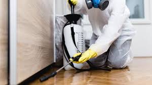 Best Pest Prevention Services  in West Columbia, TX